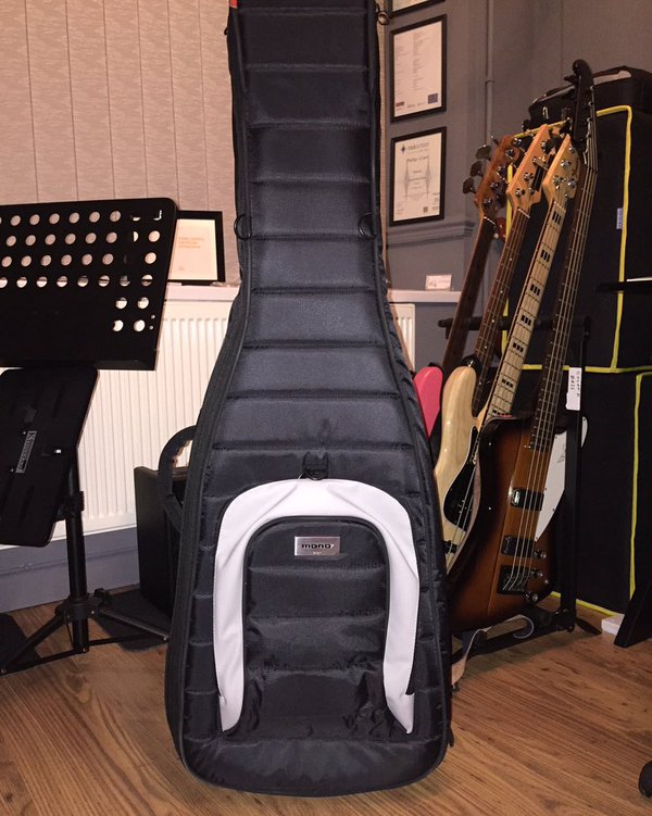 mono dual bass case