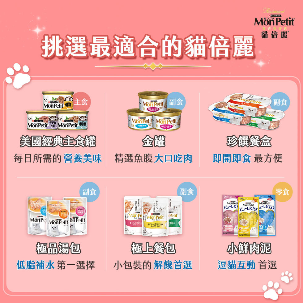 寵物、電商、美編、設計