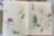 Screenshot 2023-02-13 233434.png