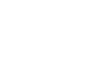 BLUEPRINT WH 55655 V3.png