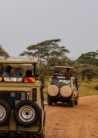 Safari Tour