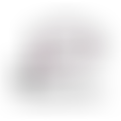 The Speaking Voices Logo