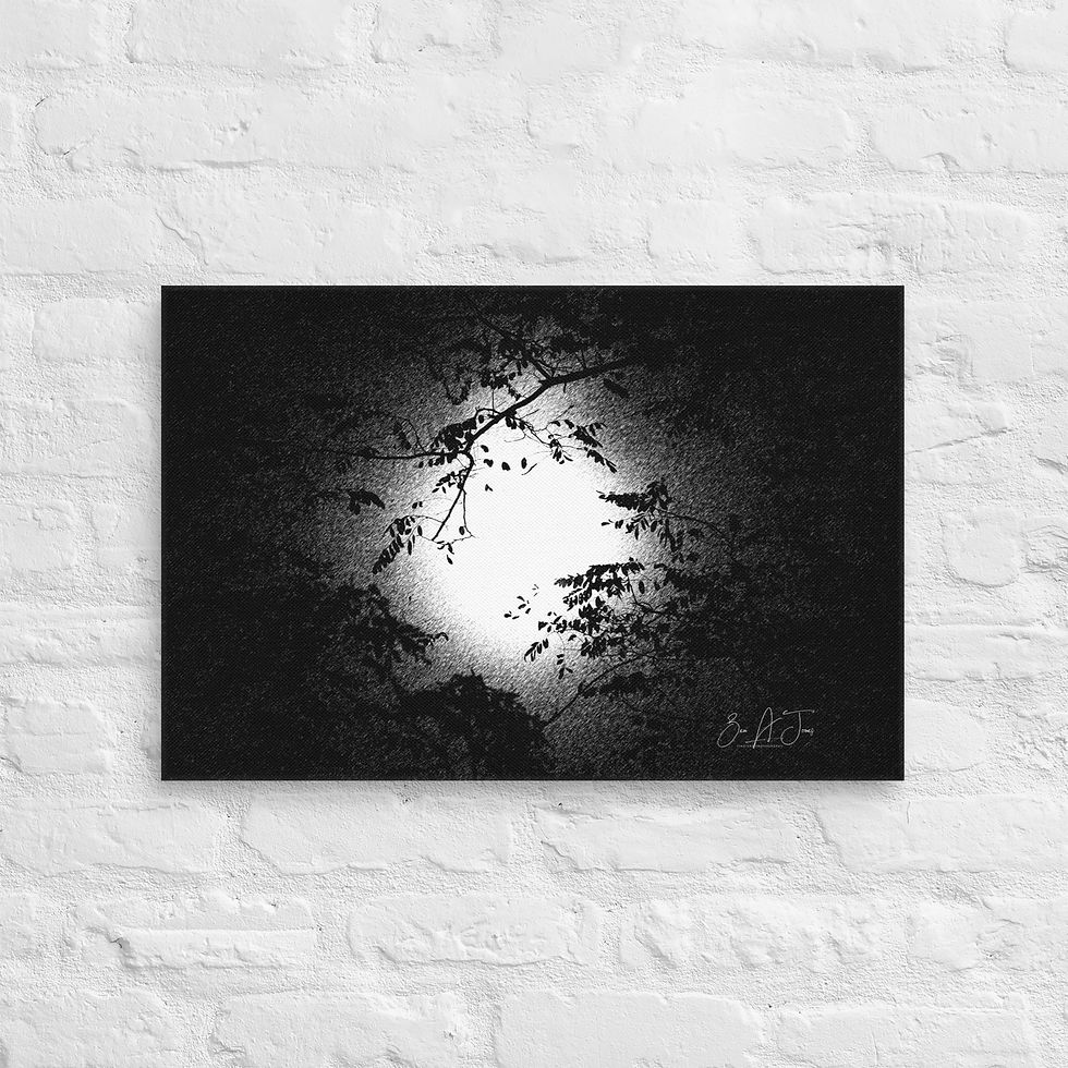 Thumbnail: Shoot the Moon 2018 in Graphic Pen Mode Canvas