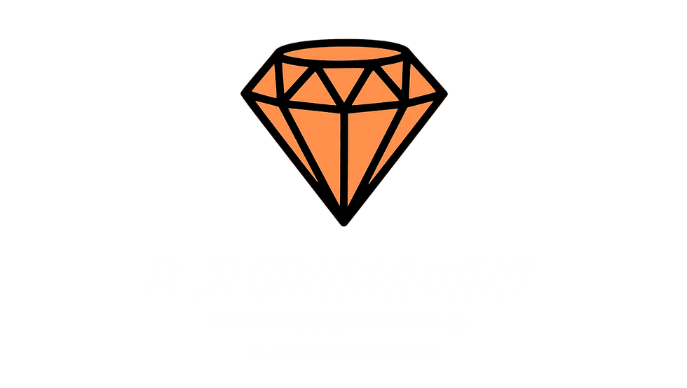 carbon web banner.png