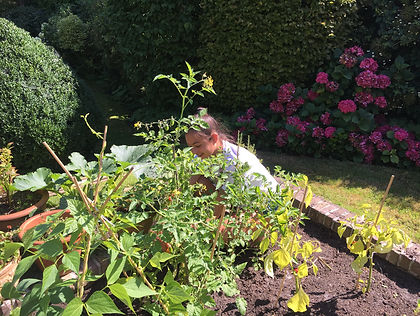 Increase of vitamin D