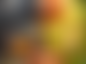 Mito 6 “El mito del cerebro aislado: cuando el intestino también piensa”