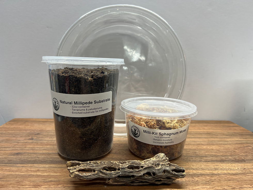 Millipede Habitat Kit