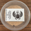 Thumbnail: Buffalo Beetles (Lesser Mealworms)  X25