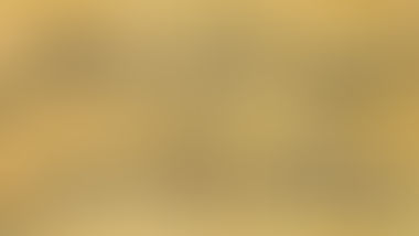 در خلوت شیخ اجل