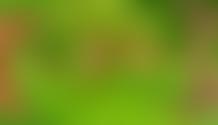 سرزمین رؤیا