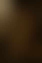 فهرست تلفات