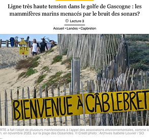 Article Sud Ouest sur la menace de la ligne THT sur les mammifères marins