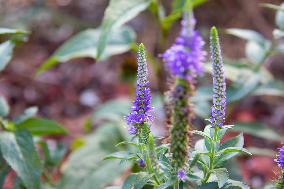 How to Explore Photography on a Budget 