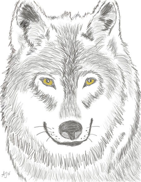 Aesop's Fable- The House Dog and the Hungry Wolf