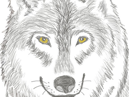Aesop's Fable- The House Dog and the Hungry Wolf