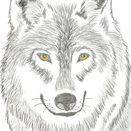 Aesop's Fable- The House Dog and the Hungry Wolf