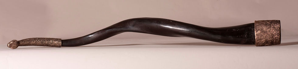 20141209215213-1507902-thor-s-drinking-horn.jpg