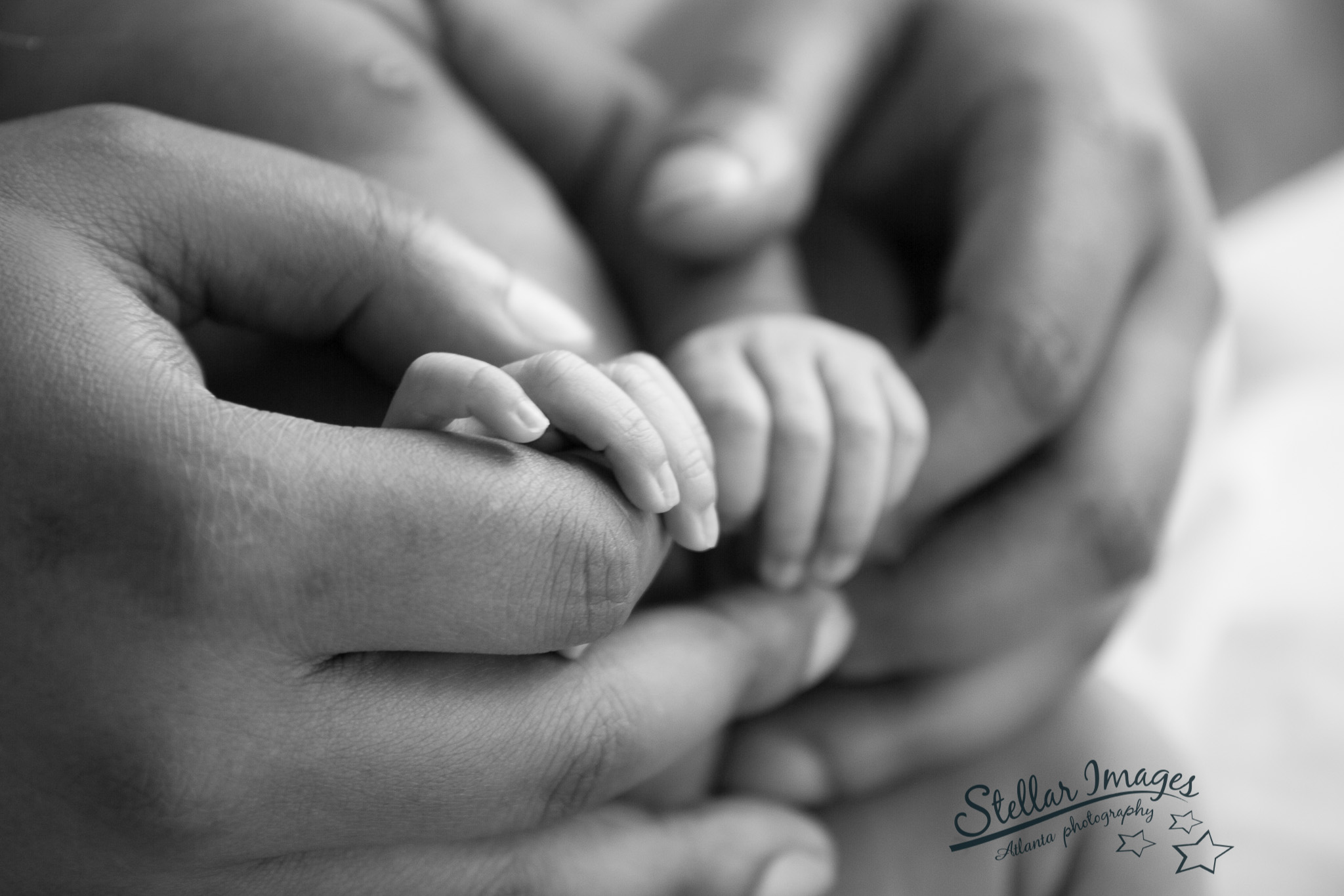 Newborn