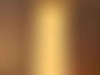 FINALMENTE LOS NIDOS DE AVIÓN COMÚN EN GERENA SE SALVAN