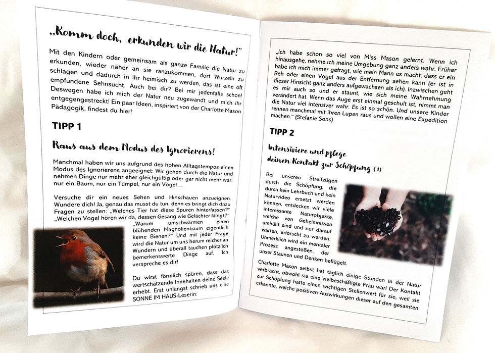 Miniaturbild: Naturtagebuch inkl. Handbuch