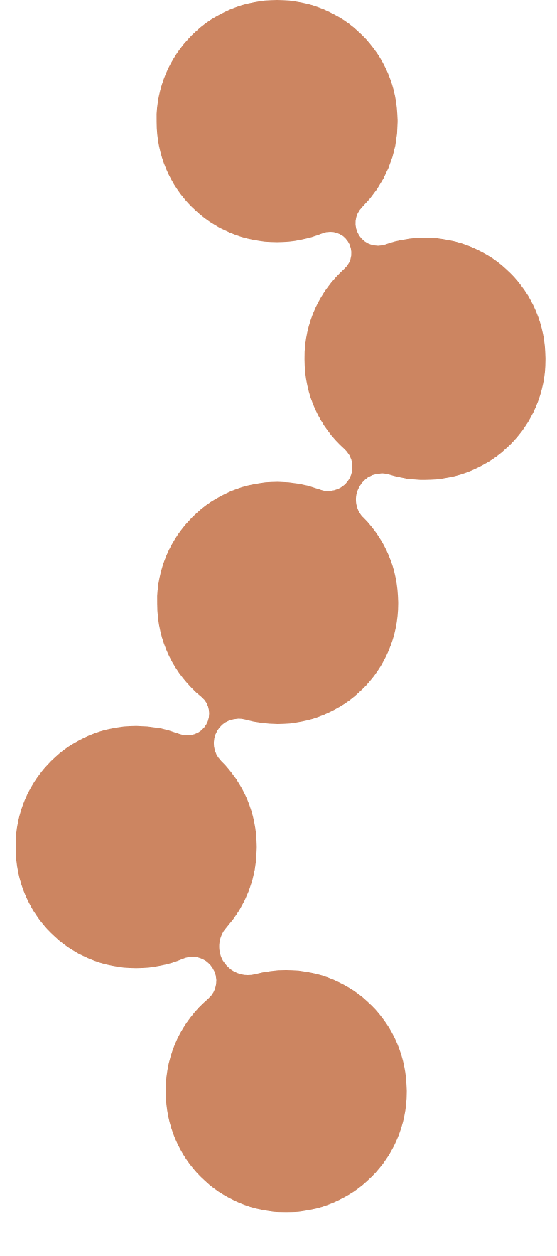 Original auf Transparenz Kopie.png