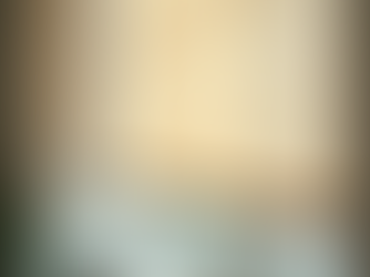 Expert Shade Buying Tips for Choosing the Perfect Shades