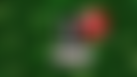 Hello November, What's News? 