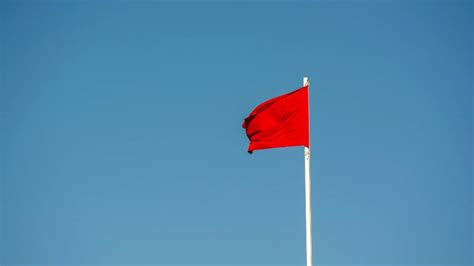Business income-related red flags