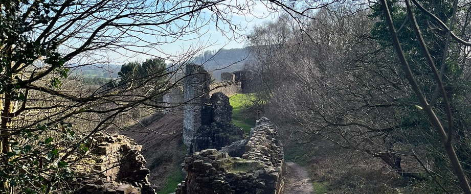 Ruined walls amongst trees showing towers dotted along them