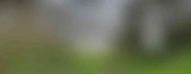 view across earthen banks with trees towards a grassy field, once a castle courtyard