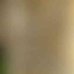 Medieval graffiti at Little Chishill Cambridgeshire