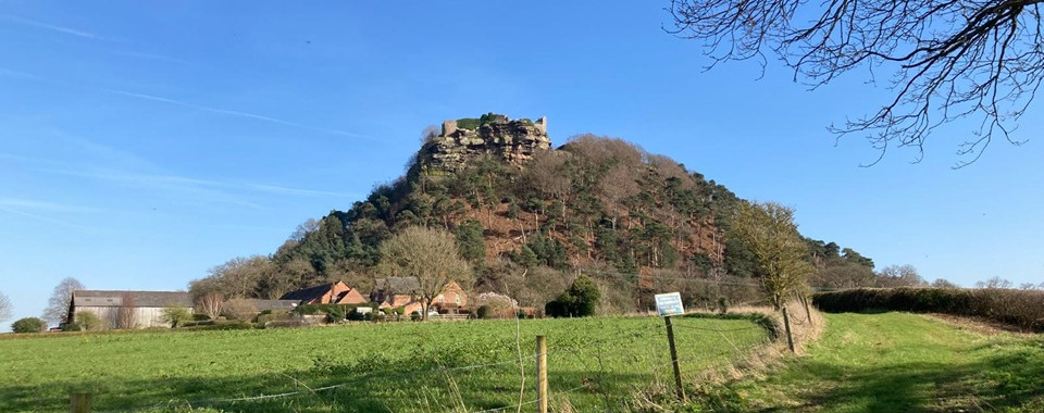 Close up view of Beeston Castle on its sandstone crag with fields in the foreground