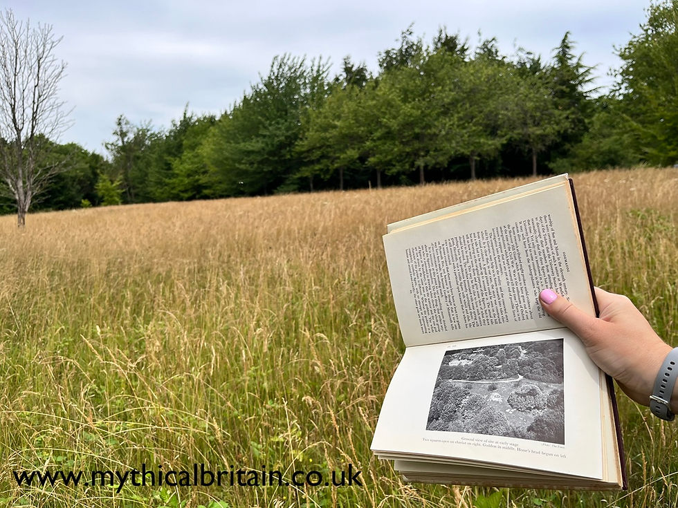 Hand holding a book comparing a photograph in it with the landscape beyond.