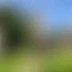 church with path leading to porch and a church cross in the foreground