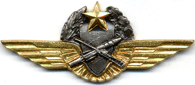OBSERVATEUR-PILOTE TIREUR D'ARMEMENT DE BORD