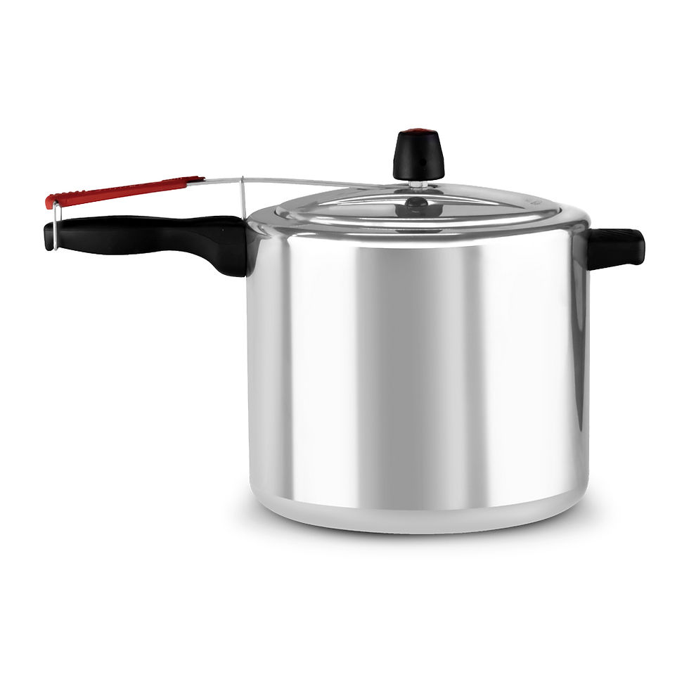 Ppfi Vitoria 10,0L Polido