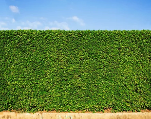 スクリーンショット 2025-12-12 14.09.21.png