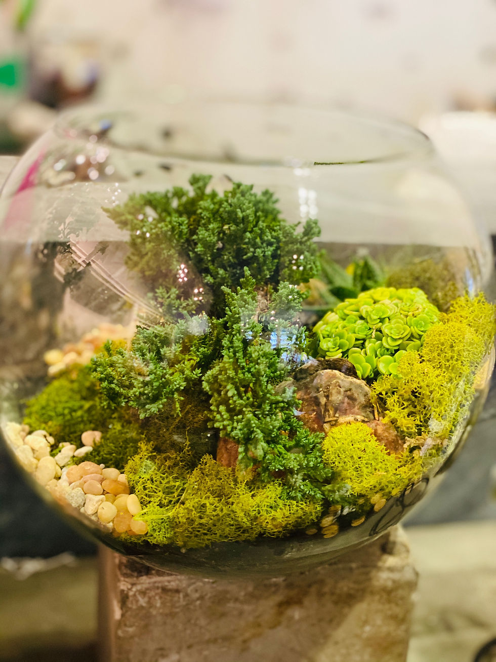 Thumbnail: GIF Signature Terrarium