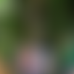 SPRINT Center provides technical consultation to St. Catherine Family Helper Project