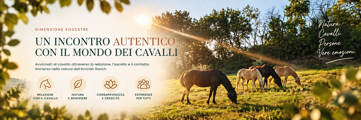 Banner Dimensione Equestre.png