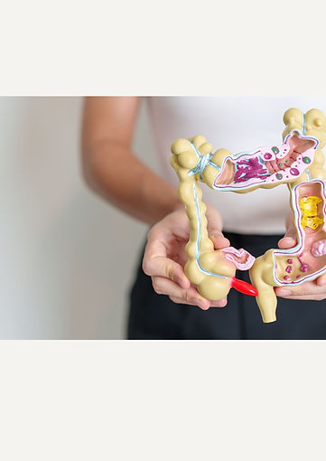 Diseño sin título (3).jpg