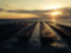 Field Point Oyster Farm