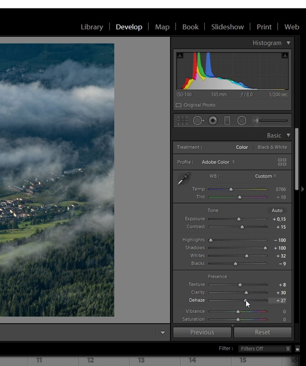Grading the image in “Develop” mode
