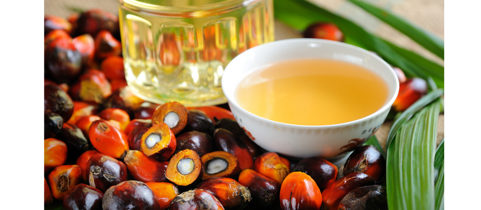 The Benefits of Palm Cooking Oil: A Versatile and Healthy Kitchen Essential