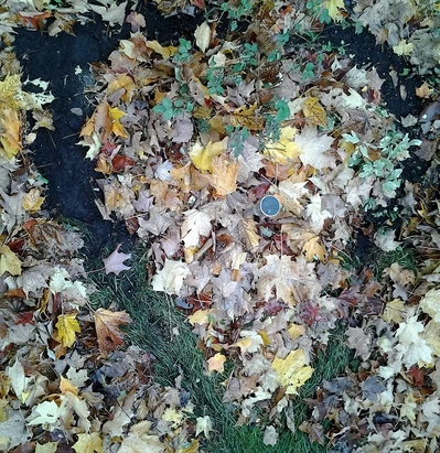 Quand la plénitude est plus profonde