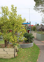 IMG_0396.jpg