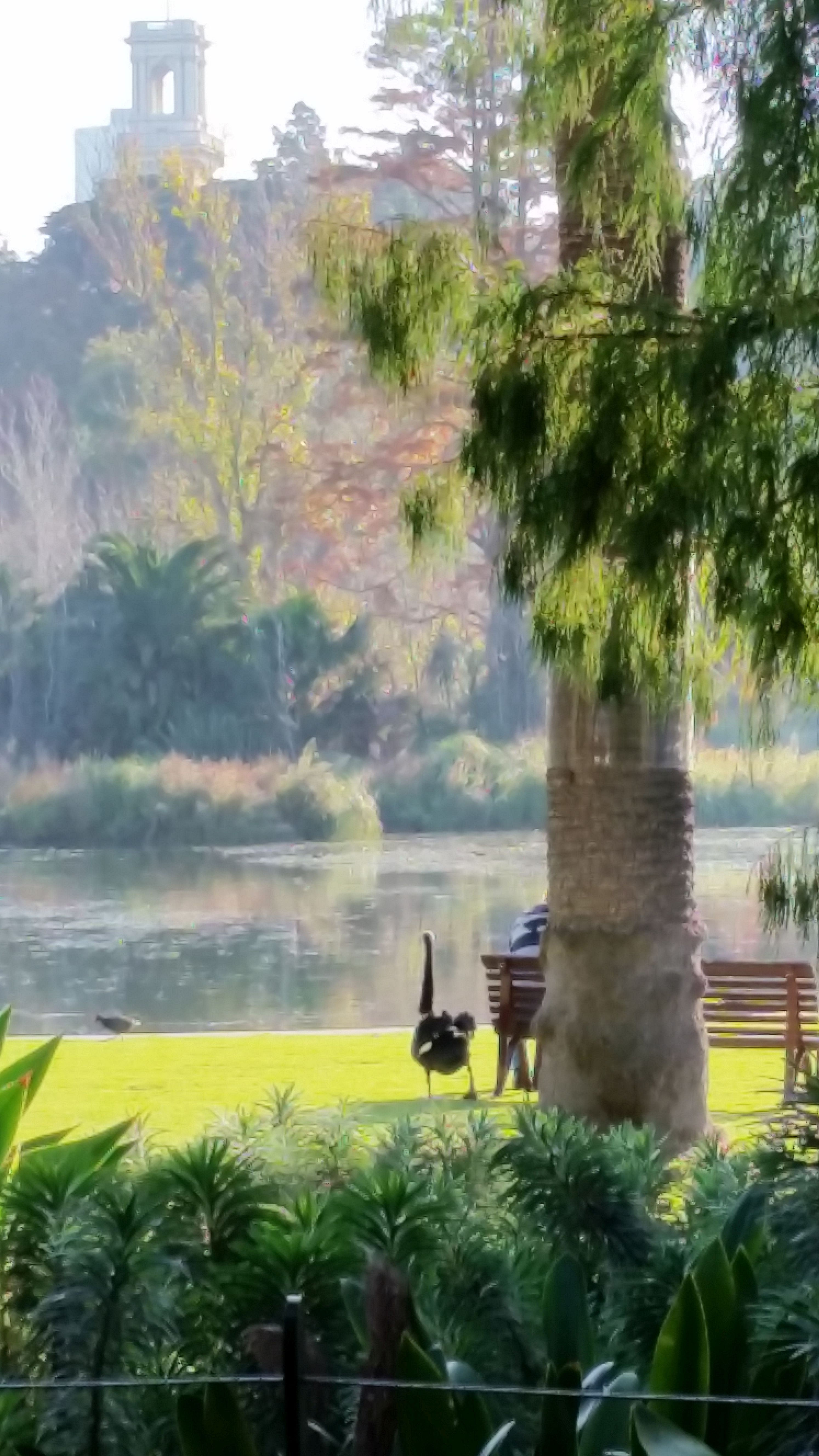 Botanic Garden View Marina Savron