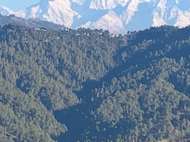 Aarish, Kumaon room 3