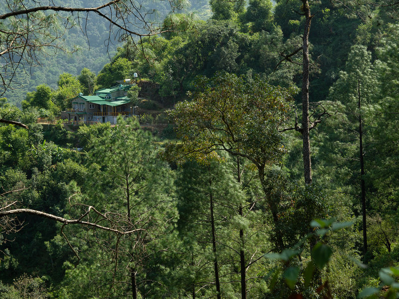 Fagunia, Nainital view