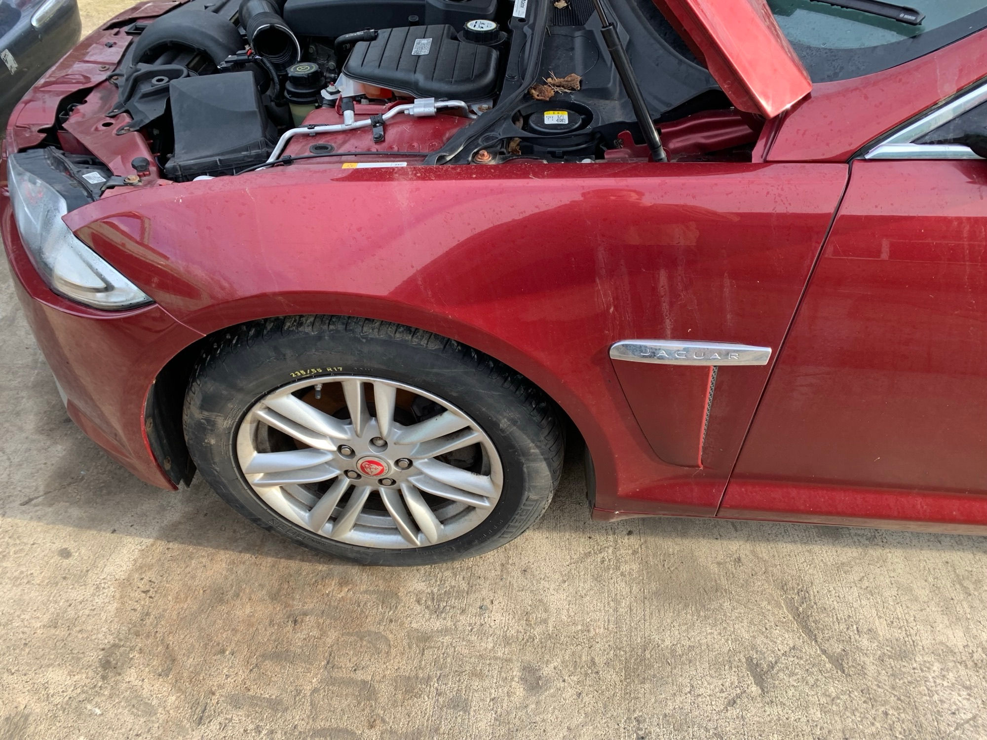 XF Facelift (2012-2015) LH/NS Wing (CARNELIAN RED CAJ)